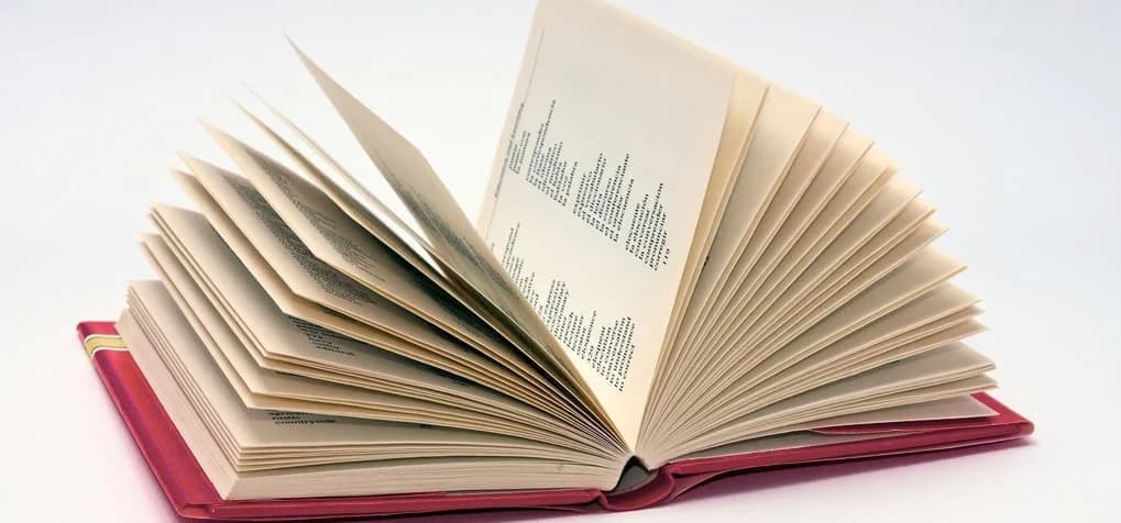8 Useful Online Spanish Dictionary Resources