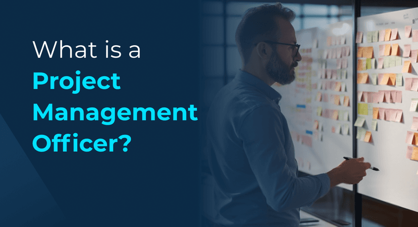 Project Management Officer: Key Roles and Skills