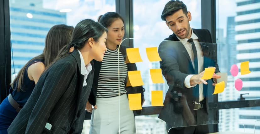 Understanding Project Management Information Systems